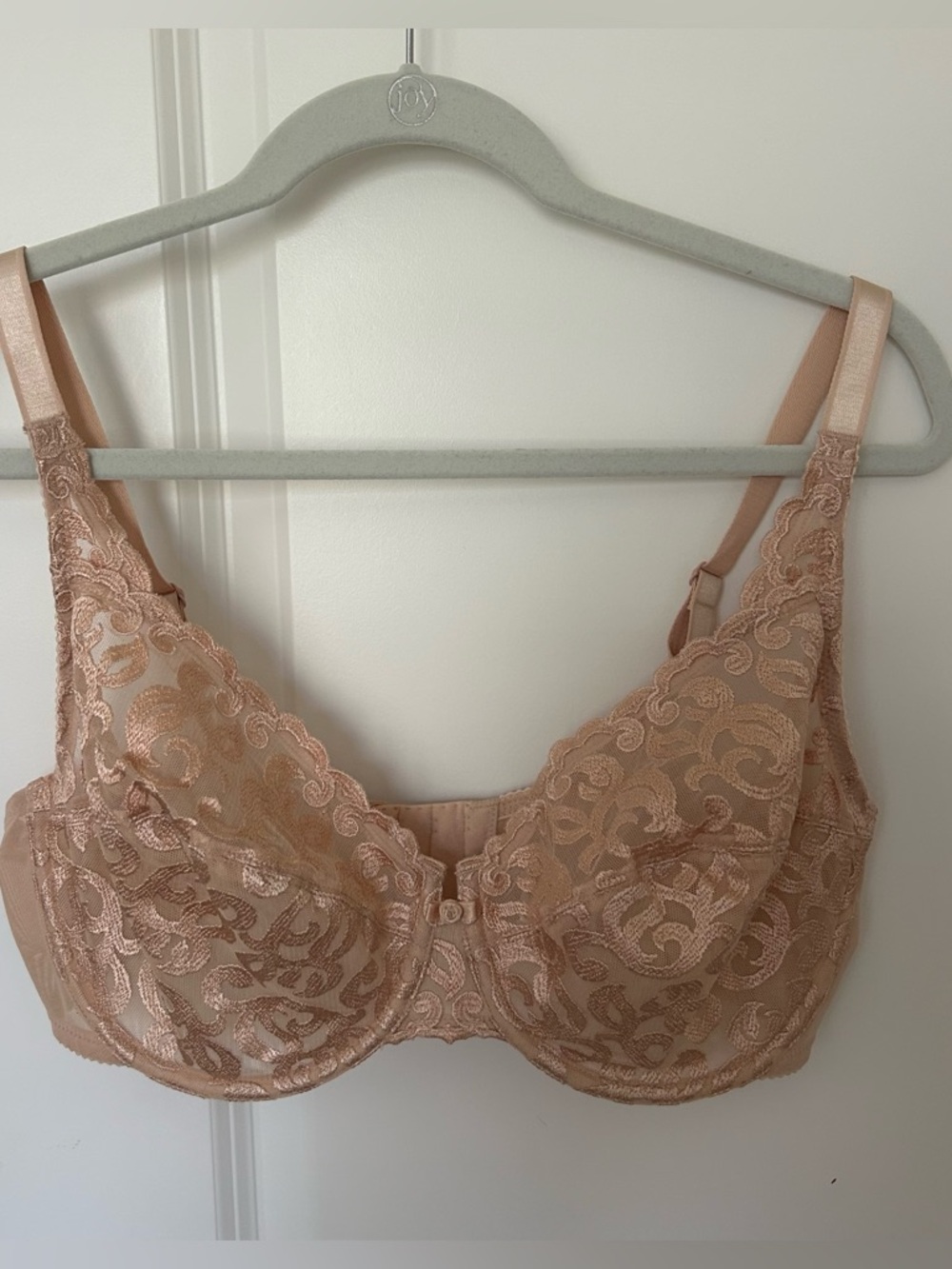 Wacoal Lace Underwire Bra in Nude - Women Intimates